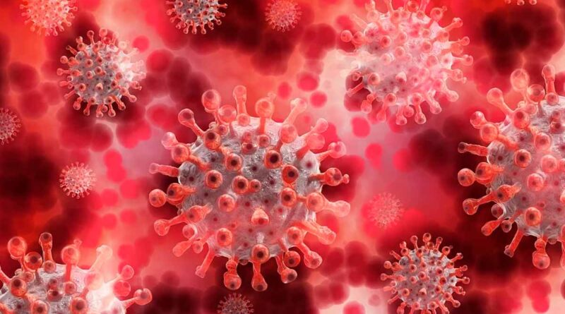 cepa-indiana-virus-coronavirus-variante-juiz-de-fora-caso-covid-19