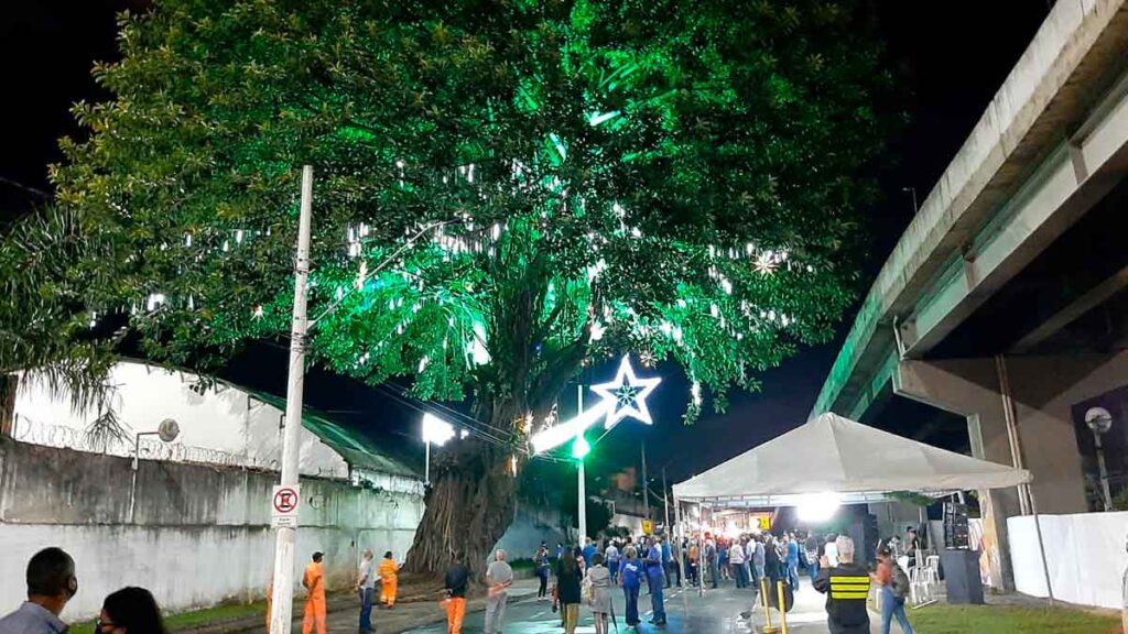 foto-arvore-da-vida-prefeitura-juiz-de-fora